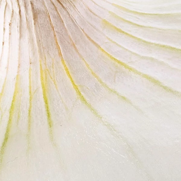 5. Лук или чеснок?