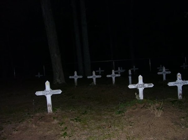 9. В лесу так легко потеряться...