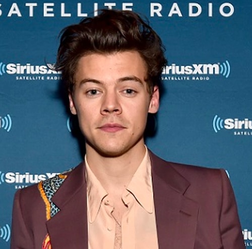 Harry Styles ve Twitter'dan tanıdığımız "myhazbaz" adlı kullanıcı