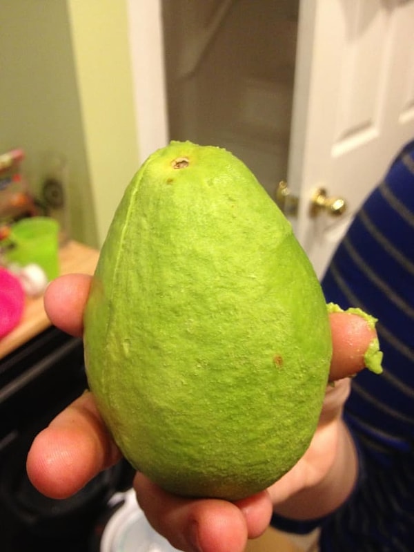 14. Авокадо: "Очисти меня полностью!"