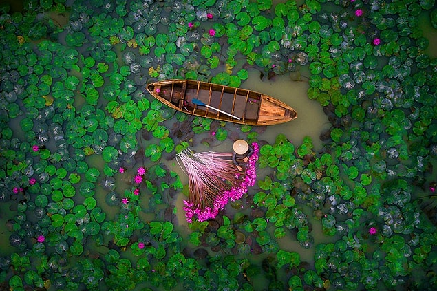 1. Nilüfer, Vietnam (İnsanlar, 2. sırada)