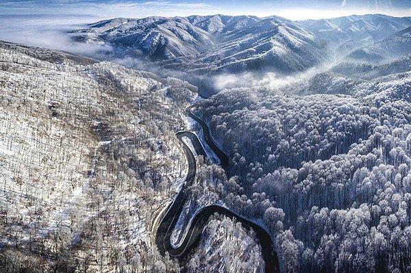 11. Transilvanya'ya Sonsuz Yol, Romanya (Doğa, Finalist)