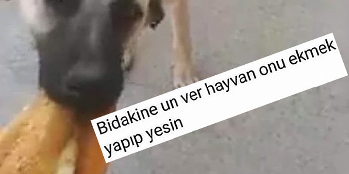 Keyfinizi Üç Tık Daha Yükseltecek Son Dönemin İnternette Yapılan En Komik 16 Diyalogu