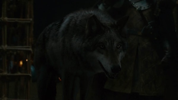 10. Жив ли Серый Ветер?