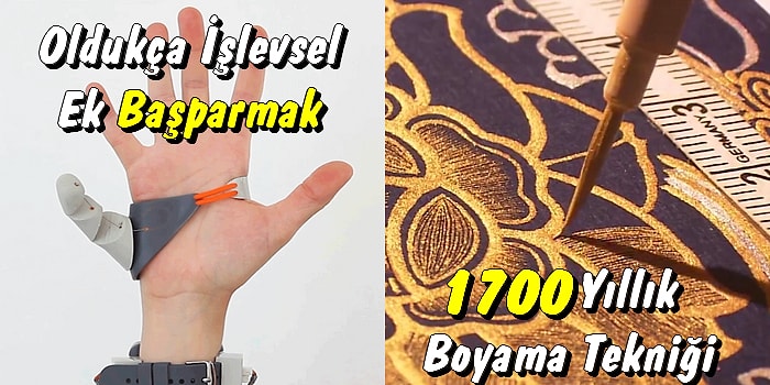 İlginçlik Düzeyi Bir Hayli Yüksek, Ağzınız Açık İzleyeceğiniz 15 Görüntü