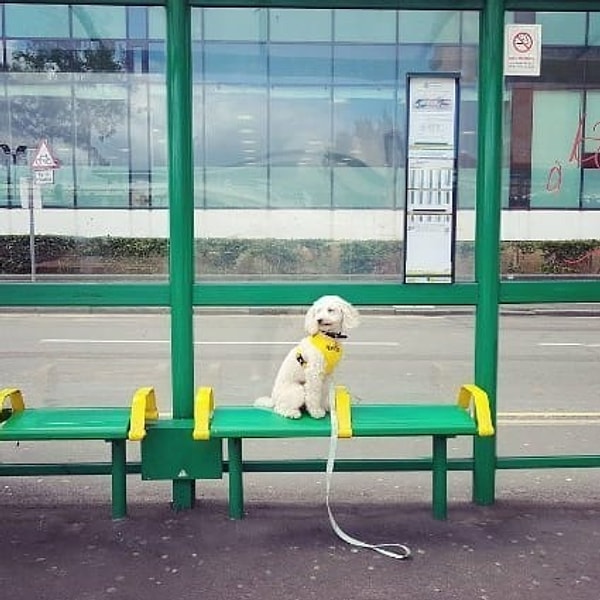 7. Перестаньте ездить на такси, и через 7 месяцев вы уже будете нежиться на солнышке в Таиланде!