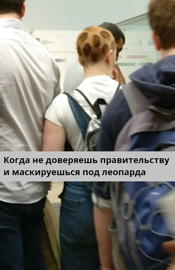 6. Вот такие пироги..