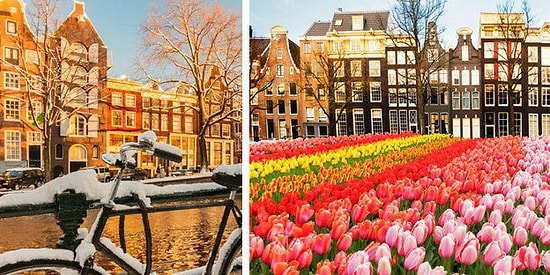 20 причин, по которым вы просто обязаны посетить Амстердам