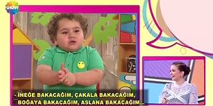 Şivesi ve Danslarıyla Neşenize Neşe Katabilecek Ponçik Bir Kardeşimiz: Çitos Efe'yle Tanışın!