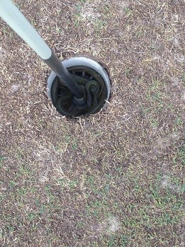 15. Не, ну что это такое???