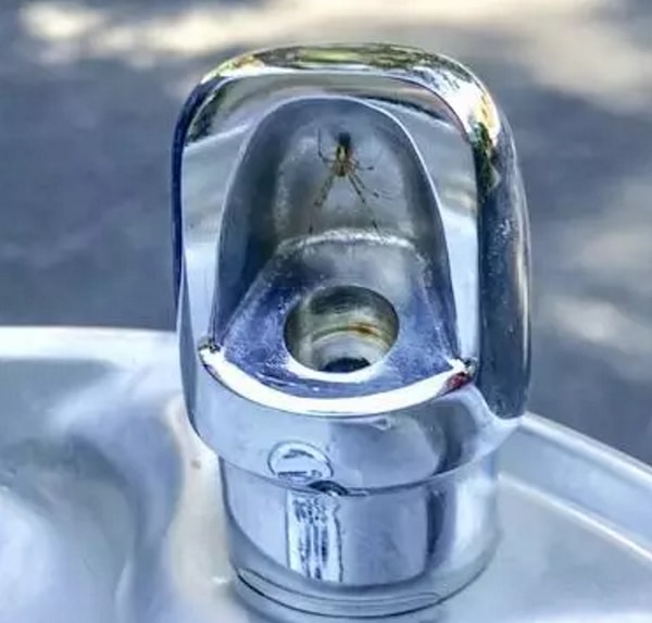 8. Только не это!