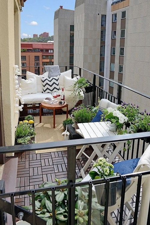 Balkon: Eğrelti otu bitkisi