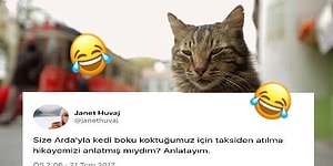 Her Kedi Sahibinin Hemen Empati Yapabileceği Trajikomik Bir Taksiden Atılma Hikayesi