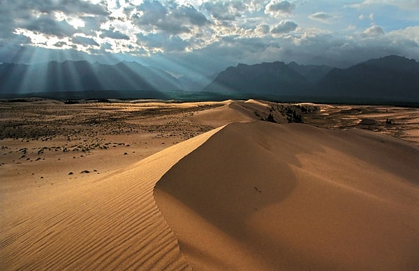 Поздравляем! Вы нашли это!