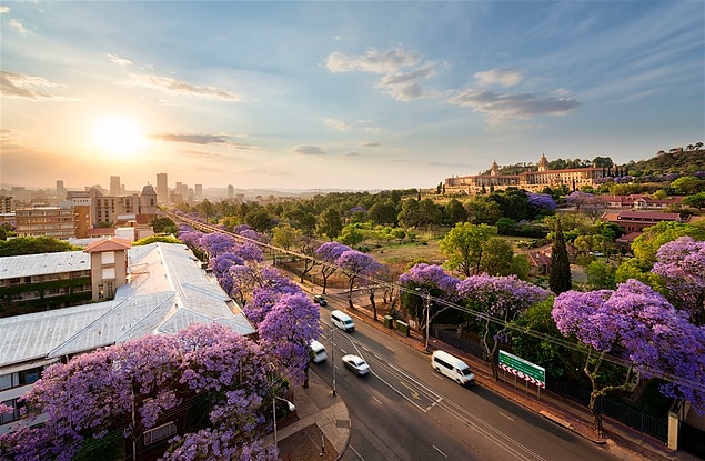 5. Güney Afrika