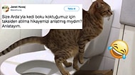 Her Kedi Sahibinin Hemen Empati Yapabileceği Trajikomik Bir Taksiden Atılma Hikayesi