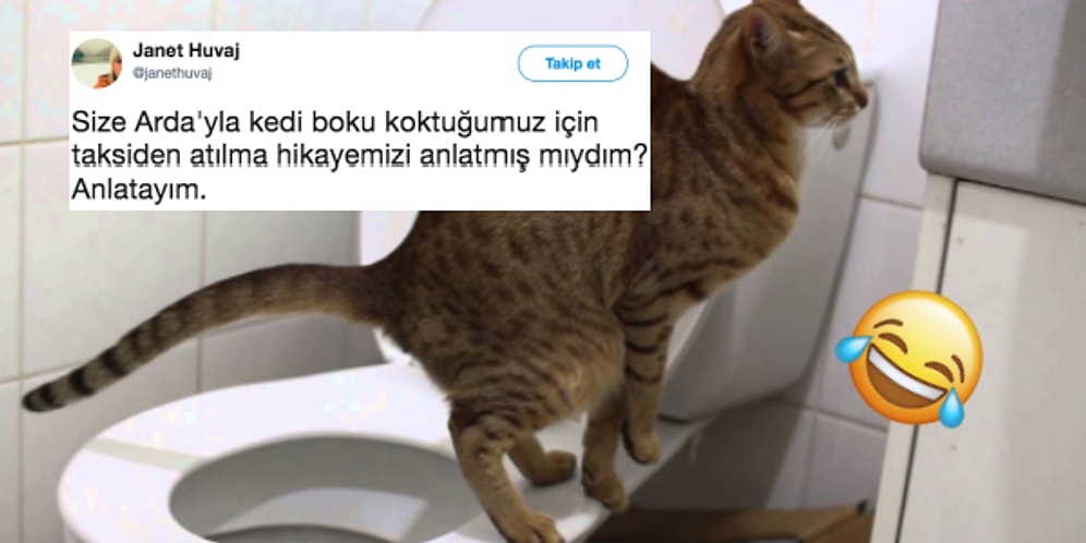 Her Kedi Sahibinin Hemen Empati Yapabileceği Trajikomik Bir Taksiden Atılma Hikayesi