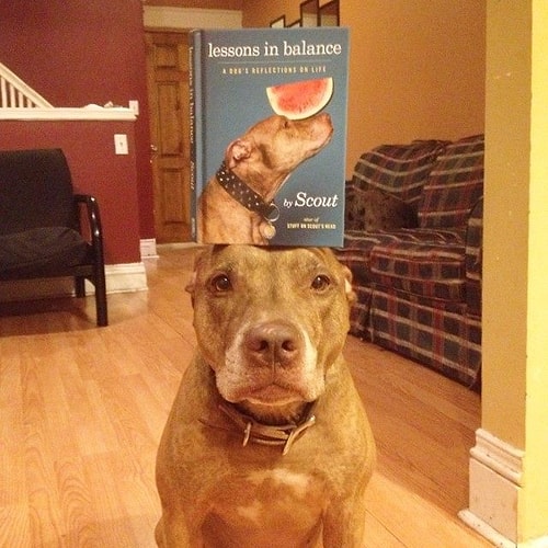 Evinizi düzenlerken her eşyayı başka bir eşyanın altına ya da üstüne koymayı hedefleyin! Üst üste dizmek motto'nuz olsun!