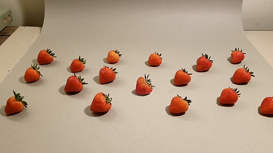 Hangisinin Gerçek Hangisinin Çizim Olduğunu Anlamaya Çalışırken Beyniniz Yanacak!