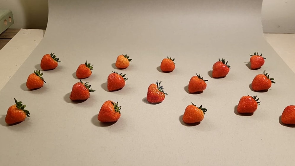 Hangisinin Gerçek Hangisinin Çizim Olduğunu Anlamaya Çalışırken Beyniniz Yanacak!