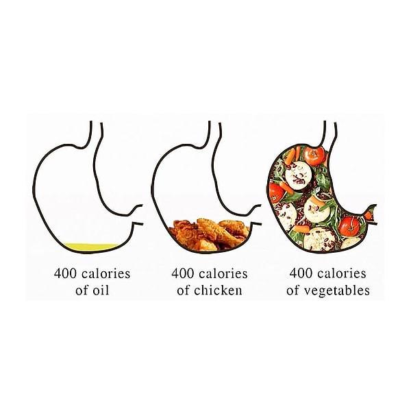 15. 400 kalorinin midemizde kapladığı alan