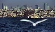 'Neden Esmiyor?' Diye Sorarken İki Kere Düşünün: İstanbul'da Kişi Başına Düşen Yeşil Alan Bir Metrekare
