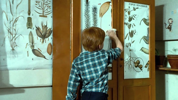 4. Названия некоторых сюжетов повторяются