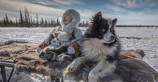 Жизнь на краю света: Как живет сибирское племя ненцы в условиях лютого холода