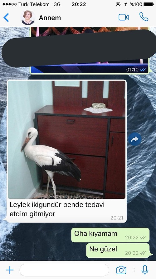 "Annemle sıradan bir gün."