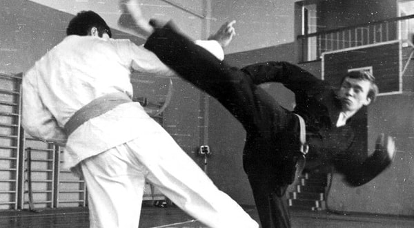 8. Удары в стиле каратэ-до