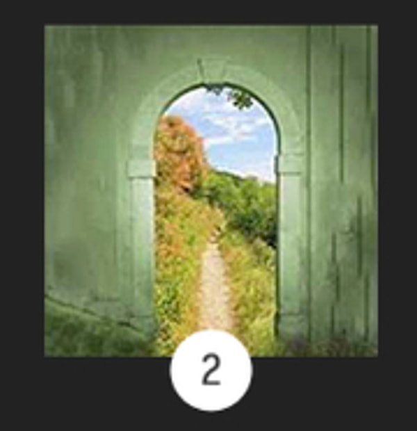 Вы выбрали дверь 2