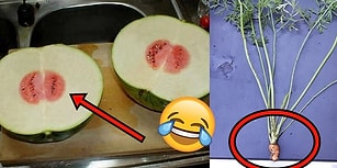 Bu Kadar Şanssızlık Olmaz! Yiyecekler Tarafından Ağır Hayal Kırıklığına Uğratılan 29 İnsan