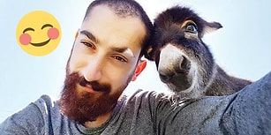 Engelli Hayvanlar İçin Kendi İmkânlarıyla Protez Yapan Genç Tasarımcı Hasan Kızıl ile Tanışın!