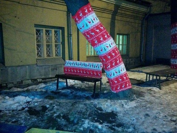 12. Знаете что? Деревьям тоже бывает холодно, между прочим!