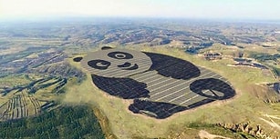 Yenilenebilir Enerjinin En Şirin Hali: Çin, Panda Şekilli Güneş Enerjisi Santralini Açtı!