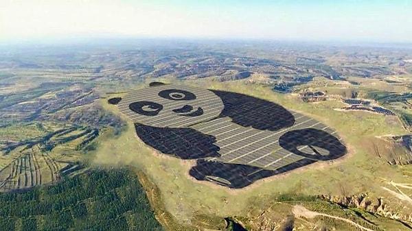 Çin'in yenilenebilir enerji kaynaklarını artırma konusunda yaptığı girişimler kapsamında 250 dönümlük, Panda desenli bir güneş enerjisi paneli tarlası projesinin tamamladı.