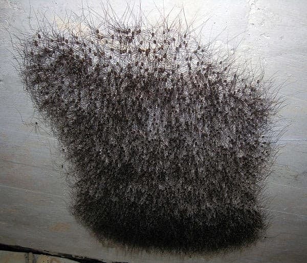 3. ТРИЖДЫ НЕТ!!! БР-Р-Р-Р...