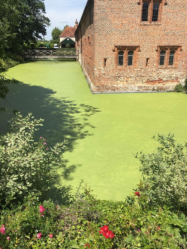 6. А это не зелёный бетон...