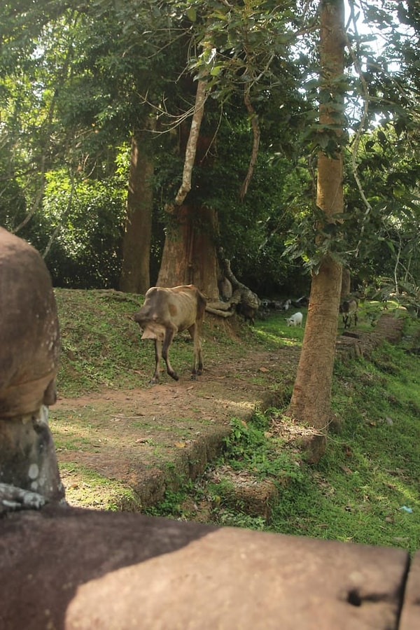 19. Тут голова тоже на месте!