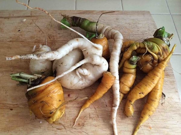 5. Деформированная морковь