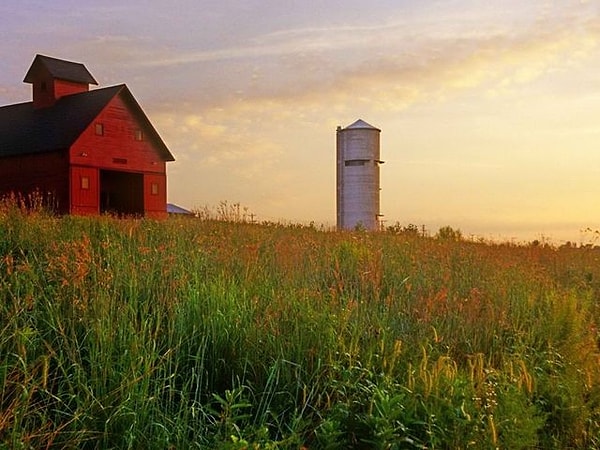 9. Опишите свой дом