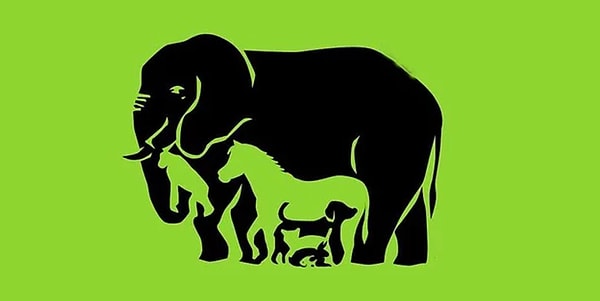 2. Сколько животных вы видите на картинке?