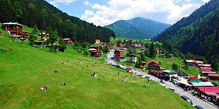 5 Koruma Kurulu Kararına Rağmen Korunamadı: Ayder Yaylası'na TOKİ'den Kentsel Dönüşüm Projesi