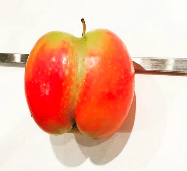 8. "Я не могу это съесть, потому что это похоже на попку!"