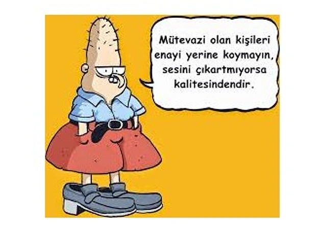 s-d14e70b99db41b8f8406eb56567d8903a1e81bfa.webp