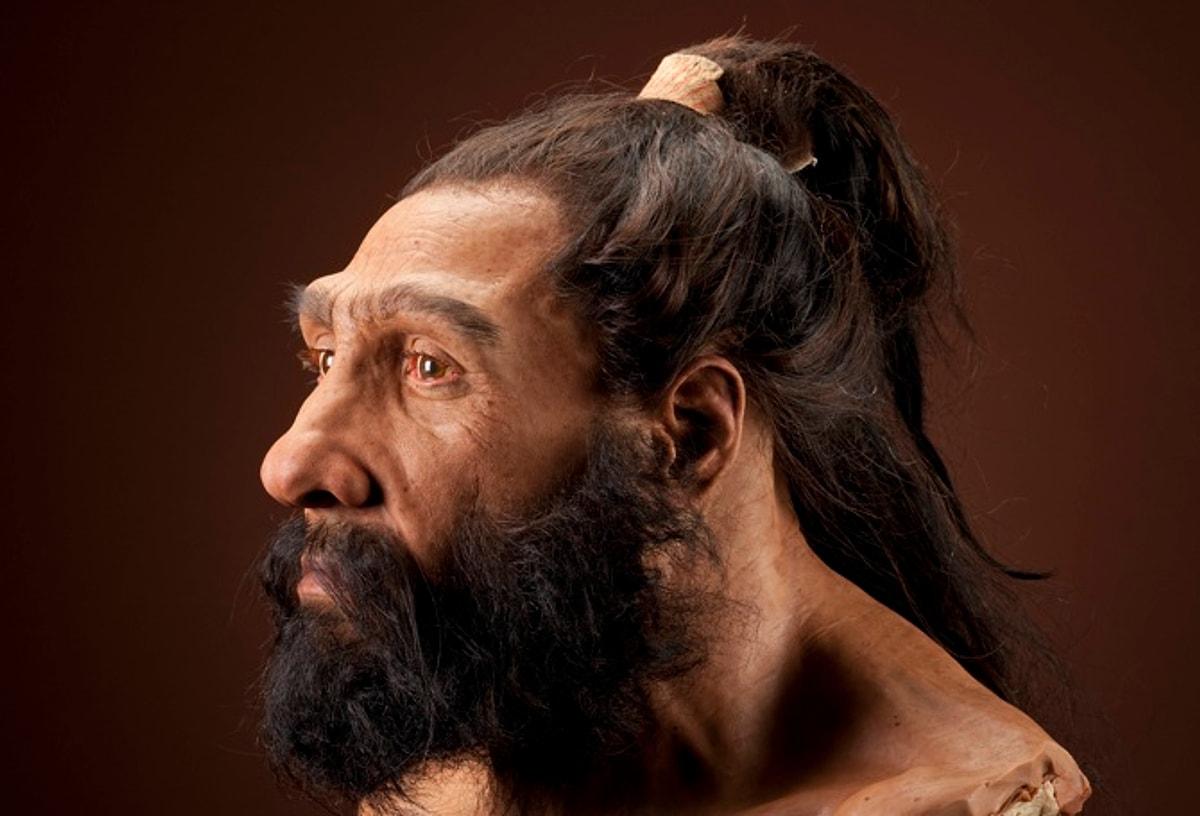 Первобытный мужчина. Хомо неандерталец реконструкция. Неандерталец (homo sapiens Neanderthalensis). Homo Neanderthalensis реконструкция.