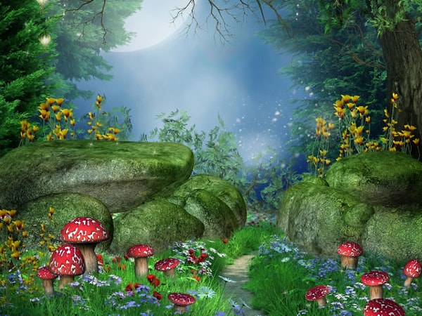 2. Если бы вы родились в сказочном мире, то кем бы вы были?