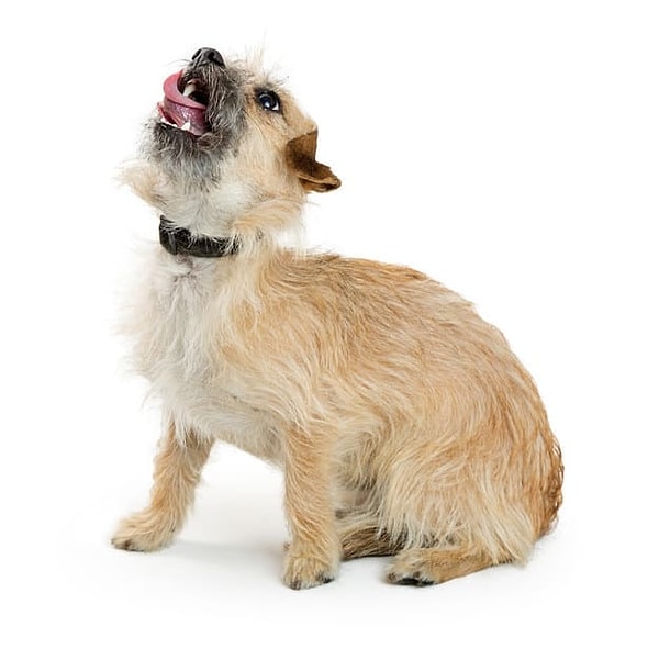 Посмотреть правильный ответ: