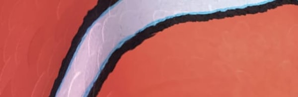 4. Узнаете, кому принадлежит этот узор?