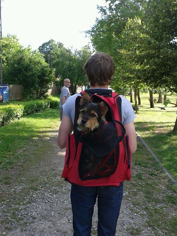 8. Но больше всего Бобби любит проводить время в компании своих людей. «Она очень милая и добрая», — говорят супруги